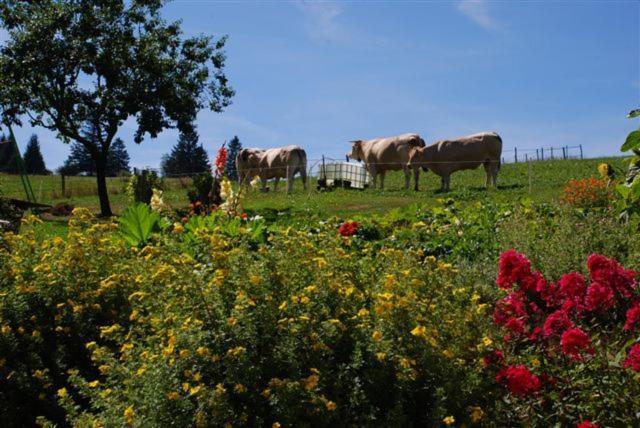 فندق La Ferme Du Bois Barbu فيلارد دي لانس المظهر الخارجي الصورة